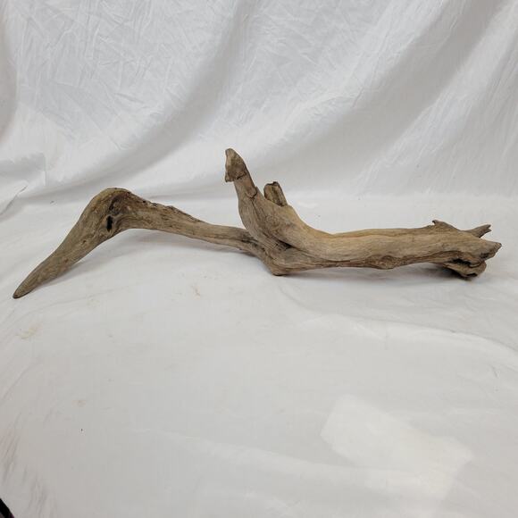 Ohio River Driftwood 39"x11"x11.5" - Picture 3 of 4